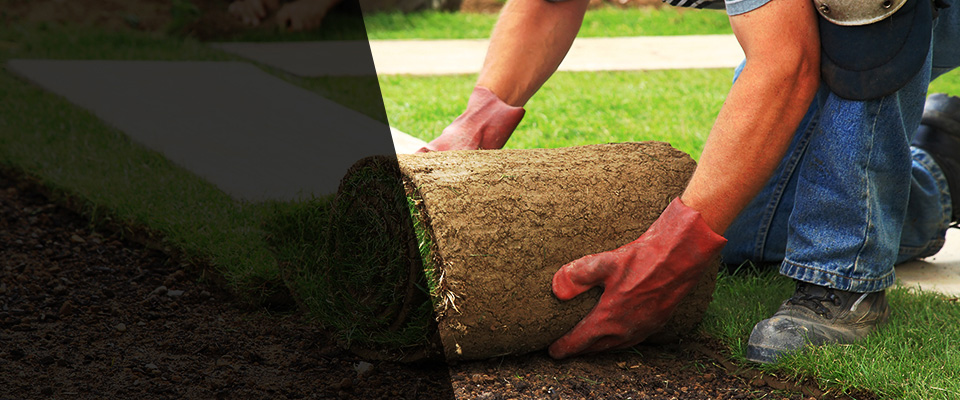 Massapequa Park Landscapers